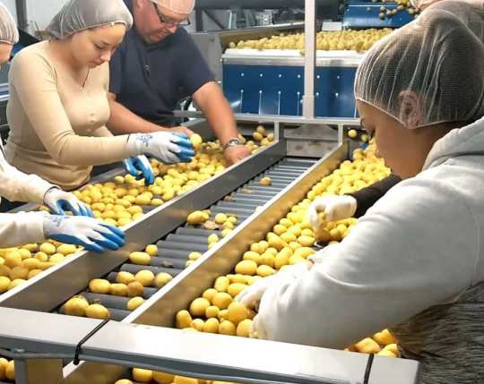 machines_sorting_table